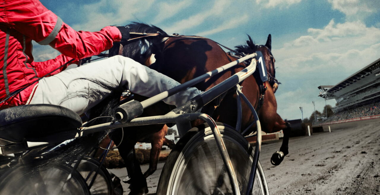 Prix d'Amérique Races ZEturf Calendrier des courses